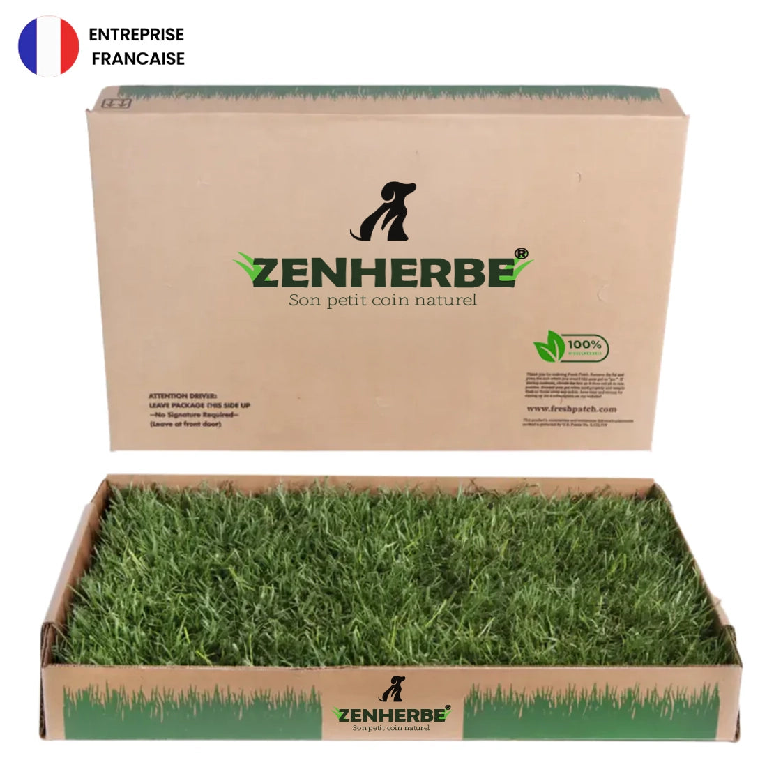 Zenherbe® Carré d'herbe naturel